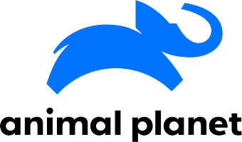 iptv animal planet direkte